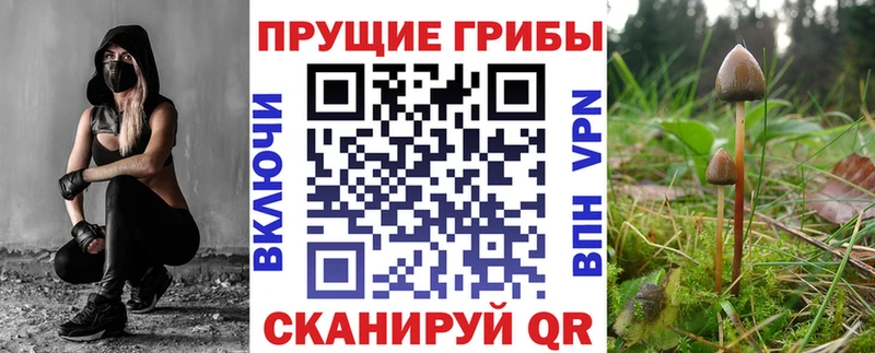 Галлюциногенные грибы Psilocybe  Мураши 